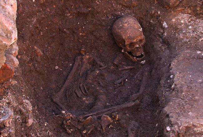 Ученые обнаружили самые древние останки человека