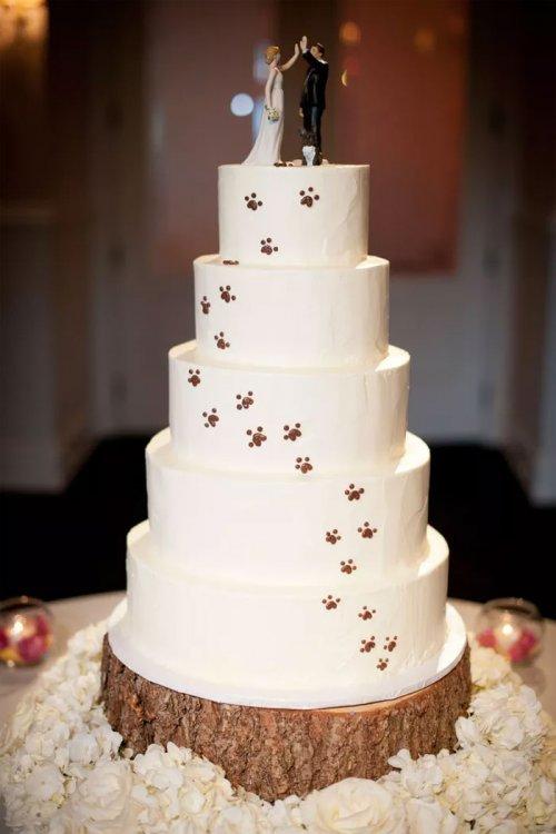 Новый тренд: свадебные торты с домашними питомцами (ФОТО)