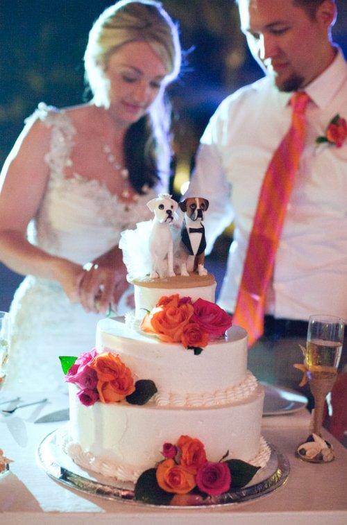 Новый тренд: свадебные торты с домашними питомцами (ФОТО)