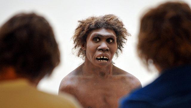 Генетики не нашли следов людей в ДНК последних неандертальцев Земли