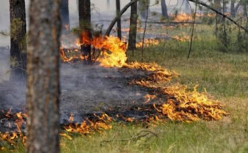 На западе Украины объявили чрезвычайный уровень пожарной опасности