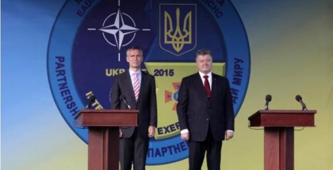 Дело не только в ВСУ: Полторак рассказал о требованиях НАТО к Украине
