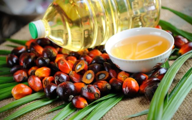 Ученые назвали новую опасность пальмового масла 