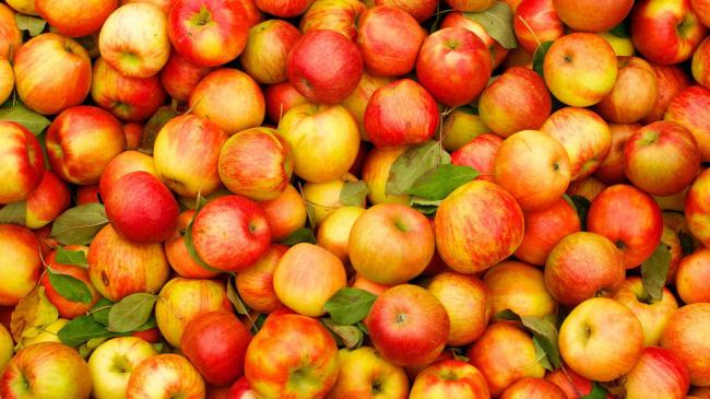 Украина установила рекорд по экспорту яблок