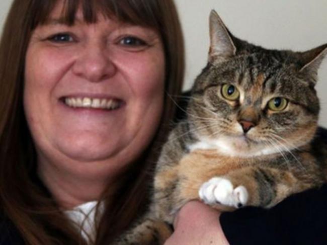 Кошка дважды спасла свою хозяйку от рака
