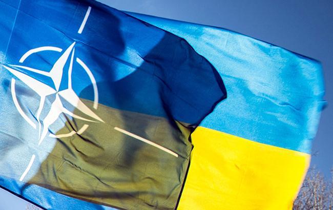 В НАТО пообещали Украине политическую и практическую поддержку