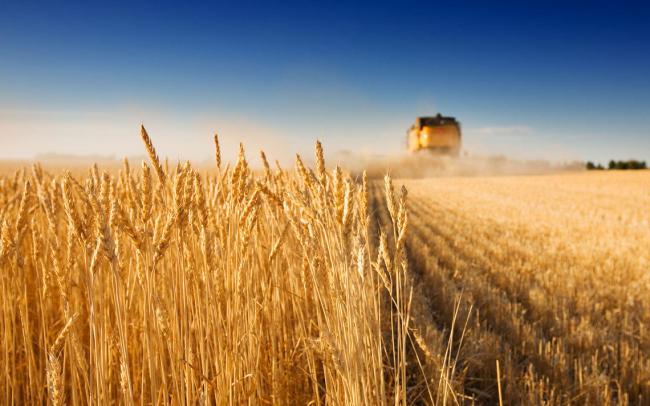 Украина вошла в топ-3 экспортеров аграрной продукции в ЕС