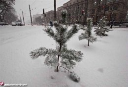 Киев утопает в снегу (ФОТО)