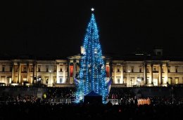 Самые красивые новогодние елки планеты (ФОТО)