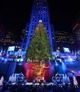 Самые красивые новогодние елки планеты (ФОТО)