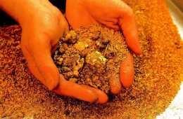 Австралийские ученые решили, что  термиты способны искать золото