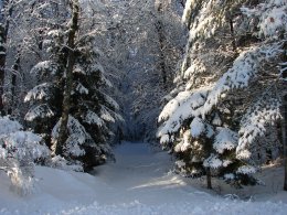 Погода в Украине на выходные, 15 и 16 декабря