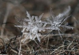Необыкновенно красивые кусочки льда, созданные природой (ФОТО)