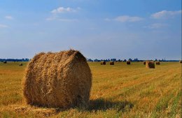 Украинским фермерам необходимы кредиты