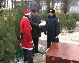 Милиция изъяла у браконьеров елок на 2 млн грн Милиция изъяла у браконьеров елок на 2 млн грн