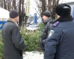 Милиция изъяла у браконьеров елок на 2 млн грн Милиция изъяла у браконьеров елок на 2 млн грн