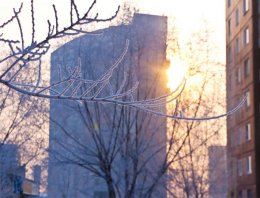 Какая погода будет в Украине в первый день Нового года