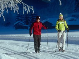 Нордическая ходьба - движение вперед! (ВИДЕО)