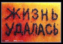 Расходы на Януковича: вертолеты, домашний офис, шампанское и икра