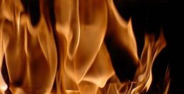 Собака сожгла дом за то, что ее не кормили