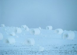 Снег в рулонах - удивительное и редкое зрелище (ФОТО)