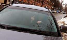 Как работники ГАИ нарушают ПДД и оскорбляют граждан Украины (ВИДЕО)