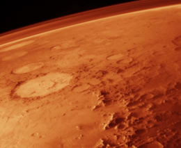 На Марс полетят только вегетарианцы