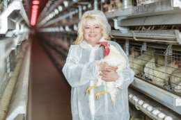 Регионалы выпустили новогодний календарь со своими секретаршами (ФОТО)