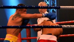 Тяжелая артиллерия «Украинских атаманов» разнесла в пух и прах «British Lionhearts». WSB (ФОТО+ВИДЕО)