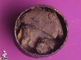 Раскрыт состав древнеримских таблеток