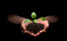 В Украине ликвидируют Аграрный фонд