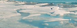 В Одессе прибрежную полосу сковал лед (ФОТО)