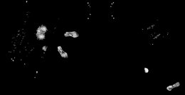 Немецкие ученые придумали чувствительный пол (ФОТО)