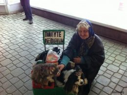 Элитные бомжи на Майдане - свои места, свои менты