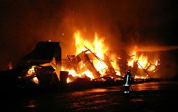 Лишь пятерым верблюдам удалось выжить в пожаре на юге Германии