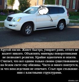 Классификация водителей по их поведению в пробке (ФОТО)