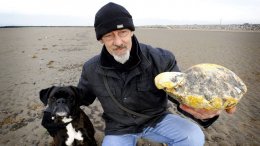 По чем отрыжка кашалота