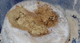 Экзотические и странные блюда со всего мира (ФОТО)
