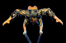 Тело погибшего русского циркача доставили на родину без главного органа