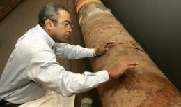 Во Флориде продали шестиметровую сигару