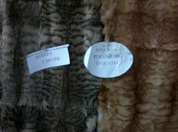 Зоозащитники принесли на акцию против торговцев кошачьими шкурками котов (ФОТО)