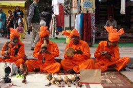 Путешествие по Индии за три минуты (ВИДЕО)