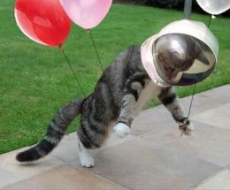 5 полезных знаний о космосе, которые пригодятся космонавту (ФОТО)