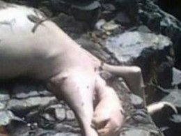 Гуманоида, пытавшегося выйти на контакт, забили камнями (ФОТО)