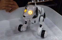 Робо-пес Zoomer лает, но не кусает (ВИДЕО)