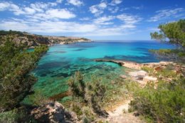 Самые необычные налоги в мире