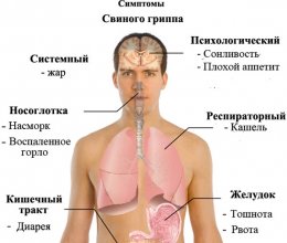 В Грузии люди умирают от свиного гриппа