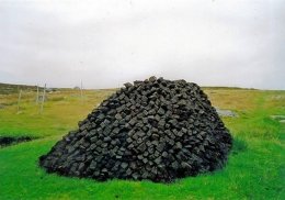 Учёные придумали альтернативное топливо из торфа