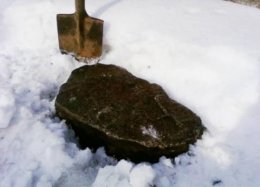 В России найден космический пришелец