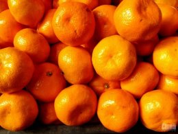 Примеры фотографий 13 Мп новомодной китайской камеры UMi X2 (ФОТО)